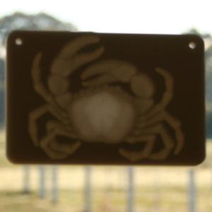  Window lithophane - zodiac - Cancer